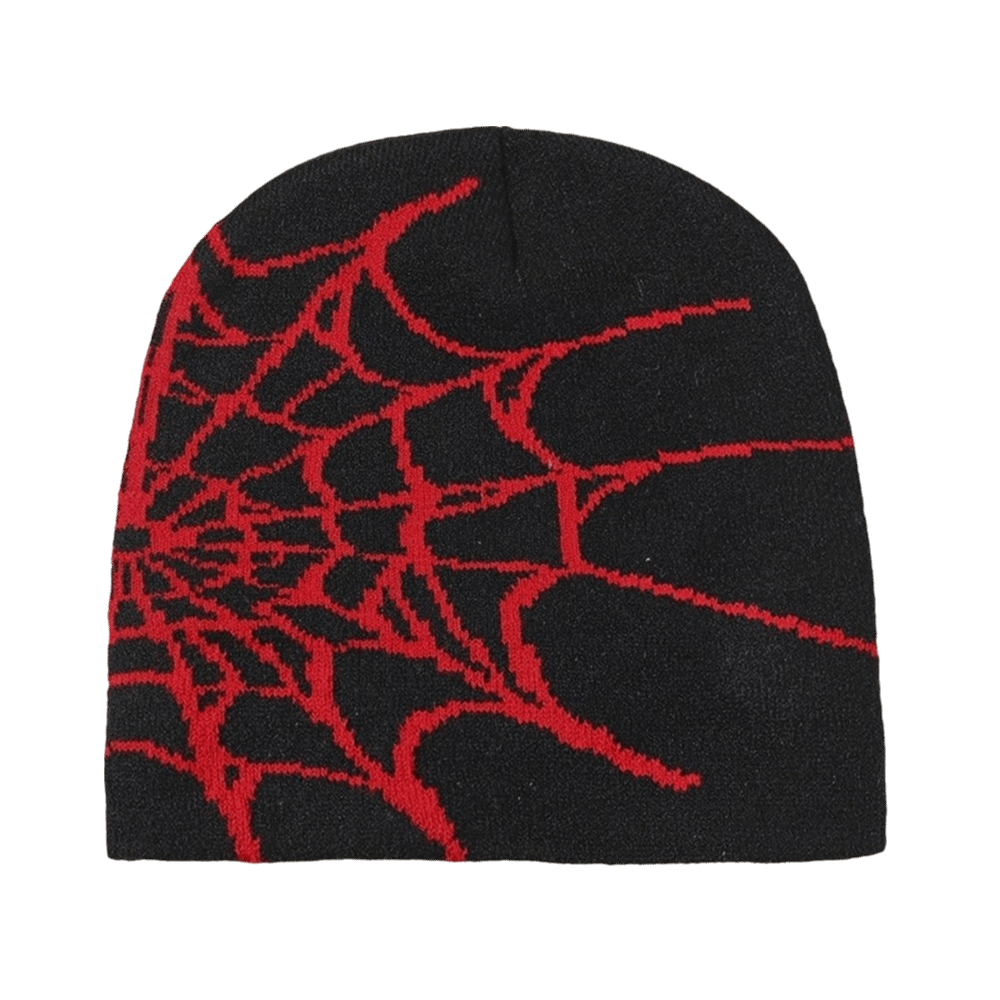 Y2K Soft Spider Web Pattern Be - Beanie Cuffed Knit 评论和价格